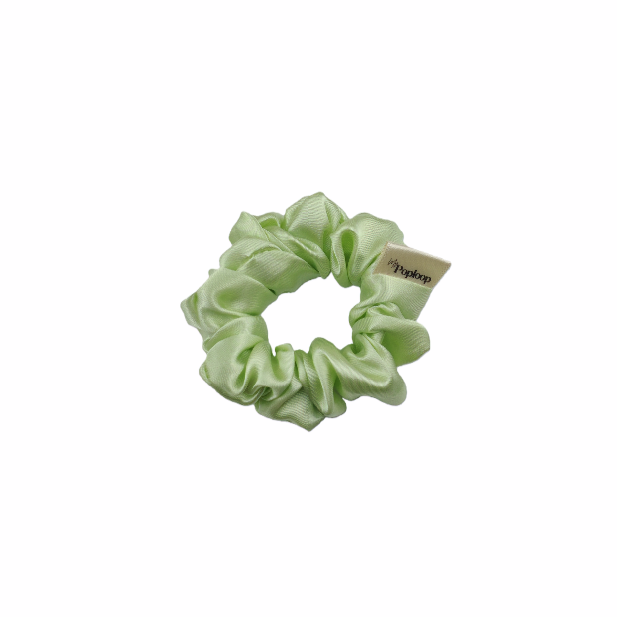 FERN Small